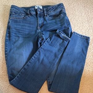 William Rast Dark Blue Perfect Skinny Jeans